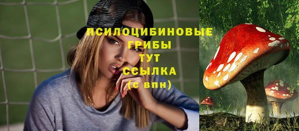 гидропоника Куйбышев