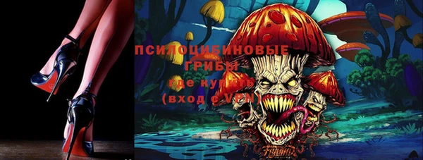 ешки Кукмор