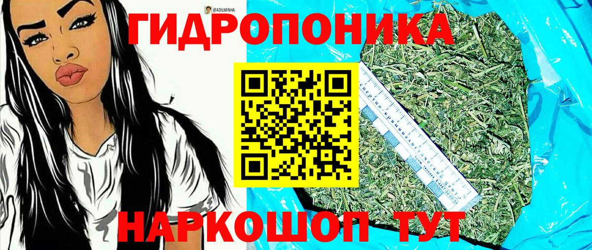 Бошки марихуана Ganja  Конопля Amnesia  Вход с VPN  Бошки Шишки Bruce Banner  Татарск 